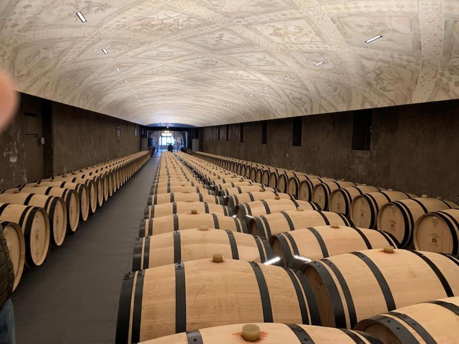 Studio Confortable Aux Portes De Bordeaux Et Medoc Ludon-Médoc Kültér fotó