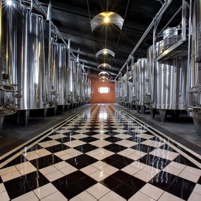 Studio Confortable Aux Portes De Bordeaux Et Medoc Ludon-Médoc Kültér fotó